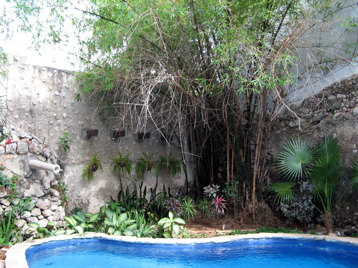 0704 merida 10.jpg